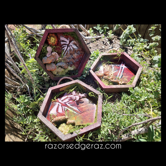 Custom Mini Hexagon Shadowboxes - Multi-Genre